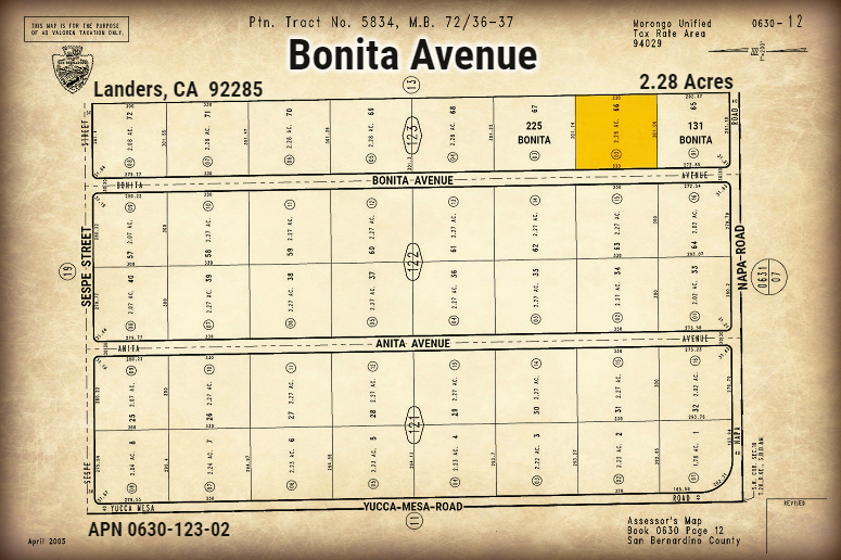 Bonita Avenue