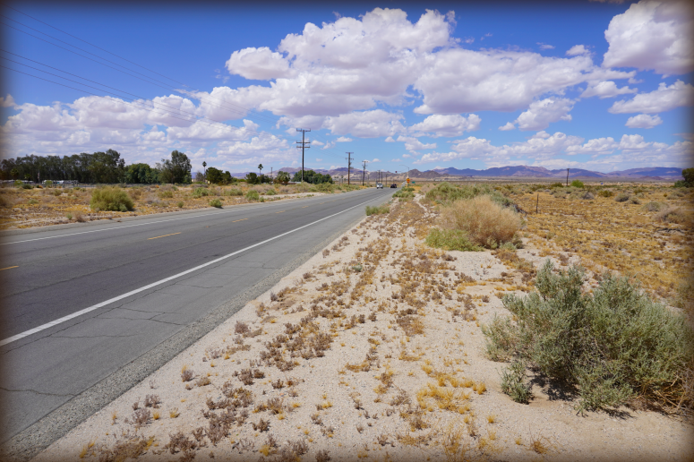 Twentynine Palms Land For Sale