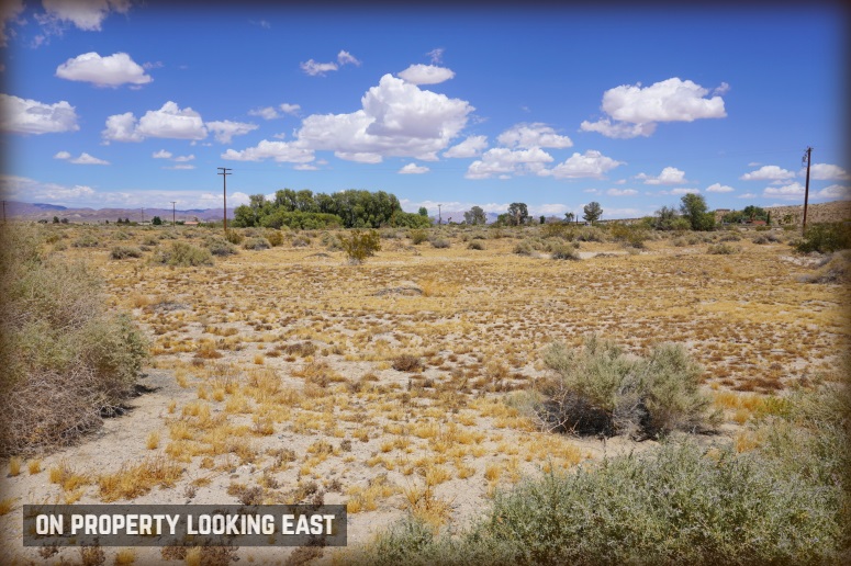 Utah Trail