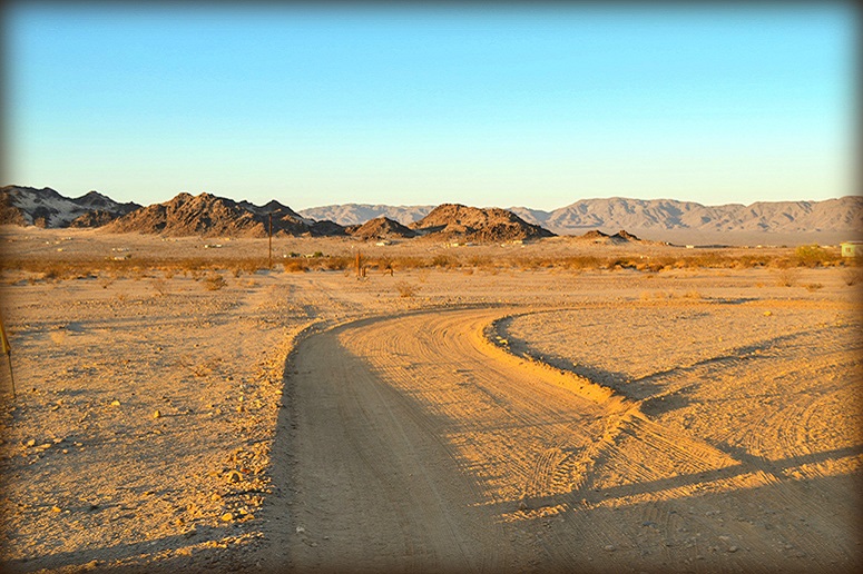 Tony Road
