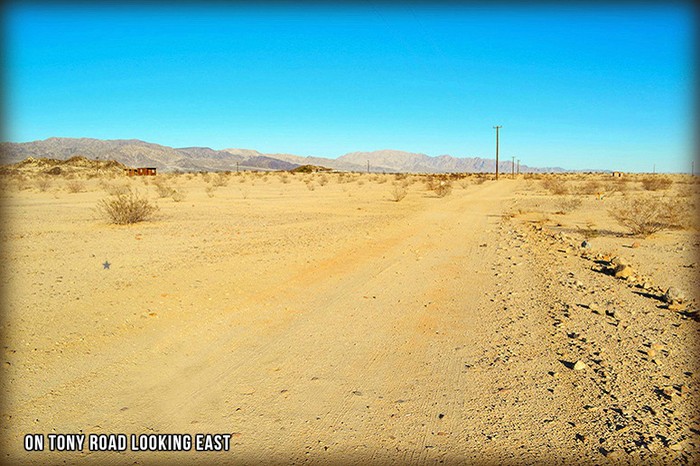 Tony Road