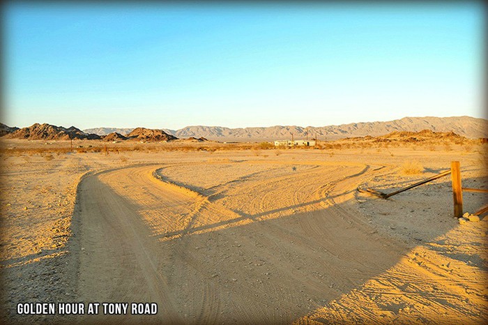 Tony Road