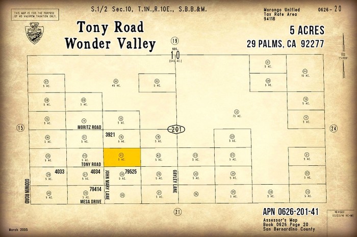 Tony Road