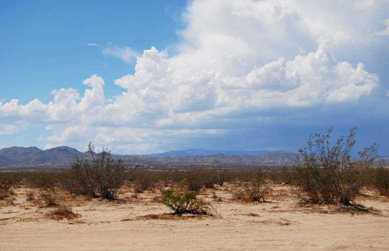 Landers CA acreage