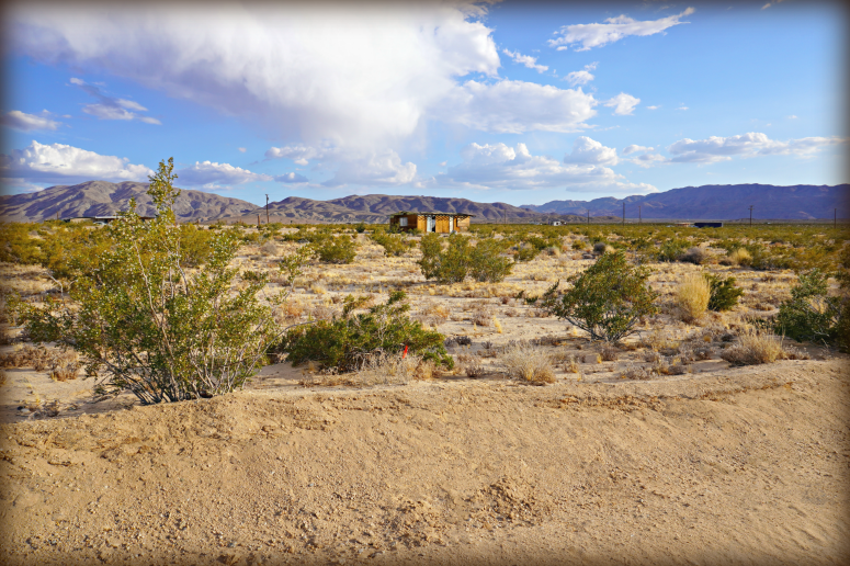 Wonder Valley Raw Land For Sale