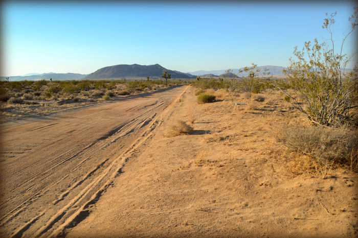 Covelo Avenue 002