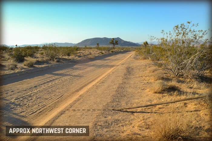 Covelo Avenue 002