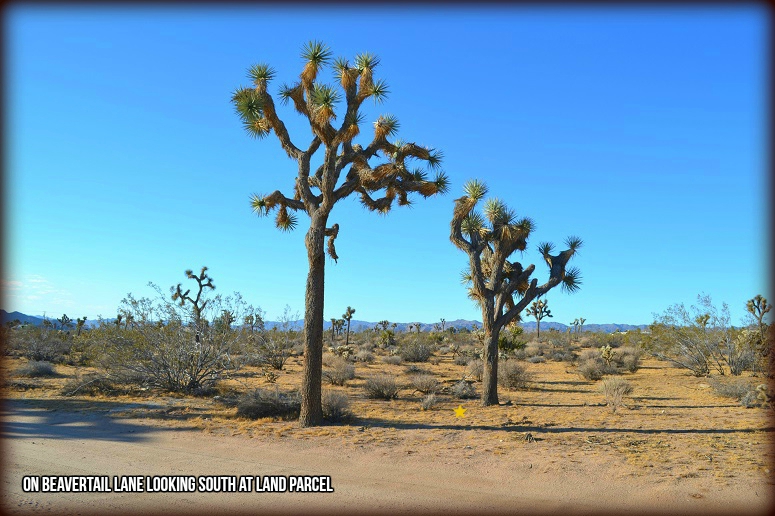 Yucca Valley Residential Land For Sale