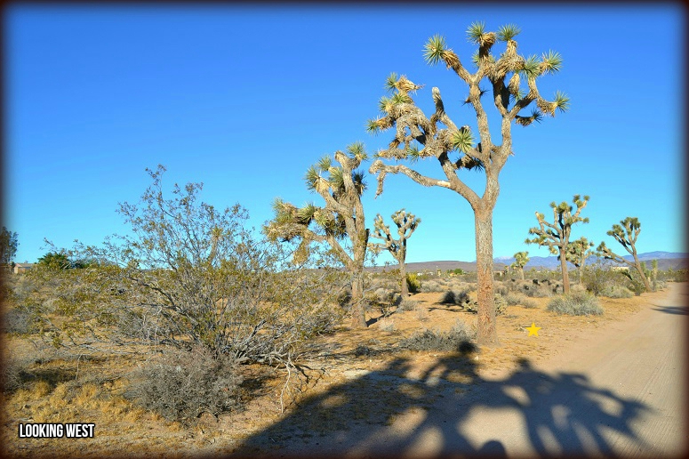 Yucca Valley Owner Financing