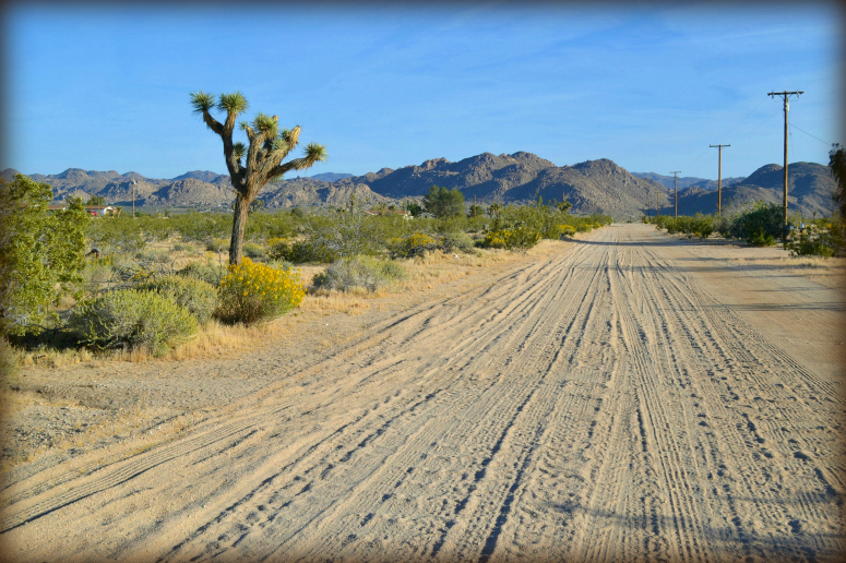 Joshua Tree Umimproved Residential Acreage