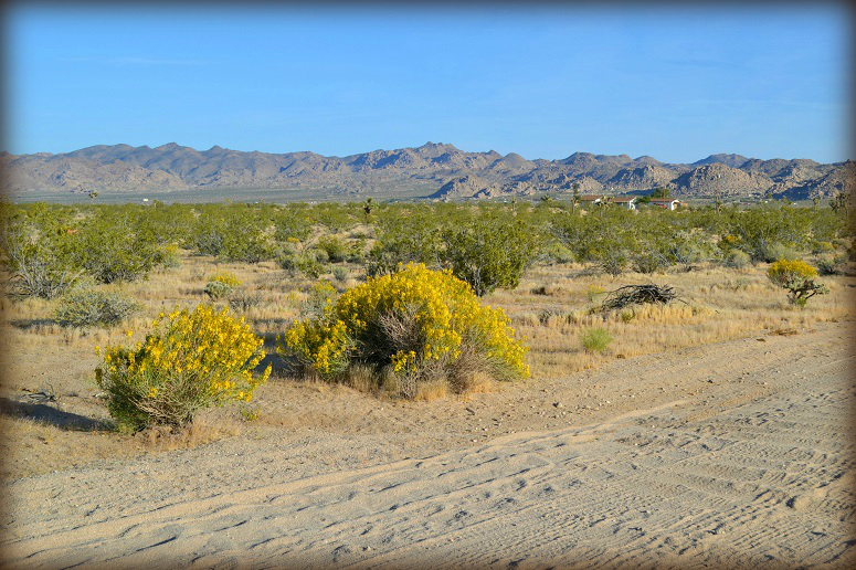 Center Avenue 001