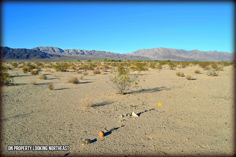 Mesa Drive