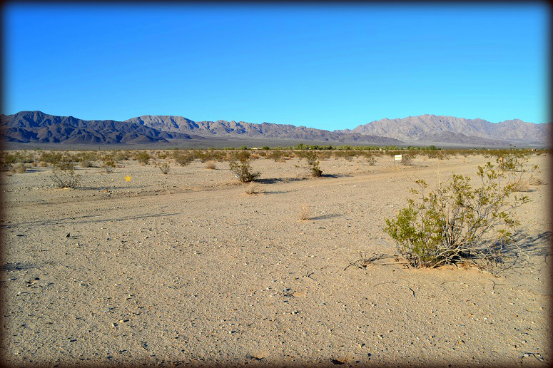 Mesa Drive