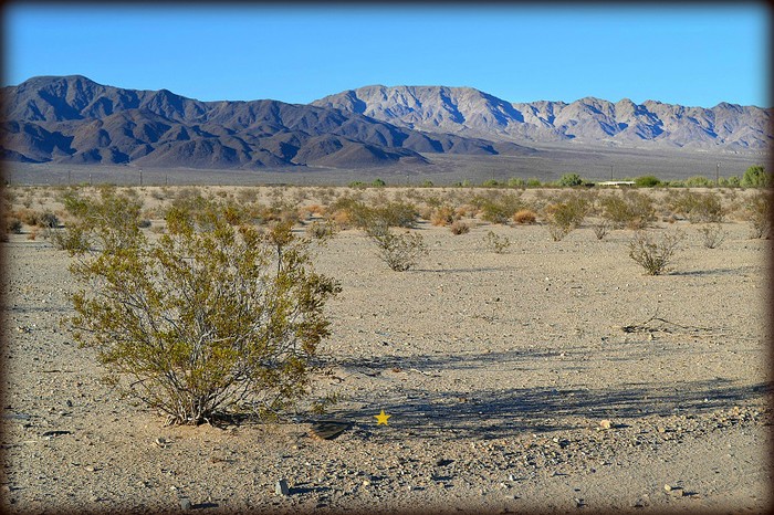 Mesa Drive