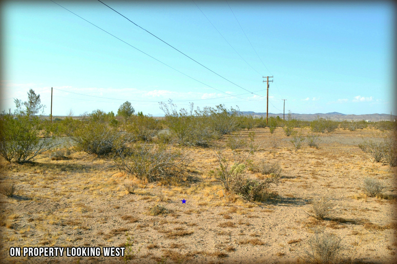 Bonanza Road