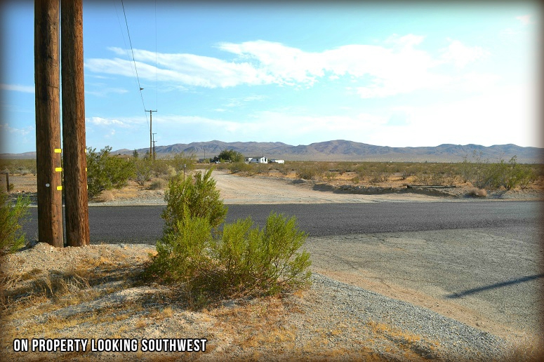 Bonanza Road