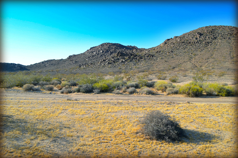 Joshua Tree Residential Land with Water
