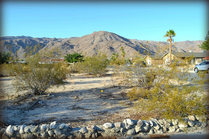 Manzanita Avenue