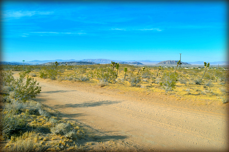 Yucca Valley Land For Sale
