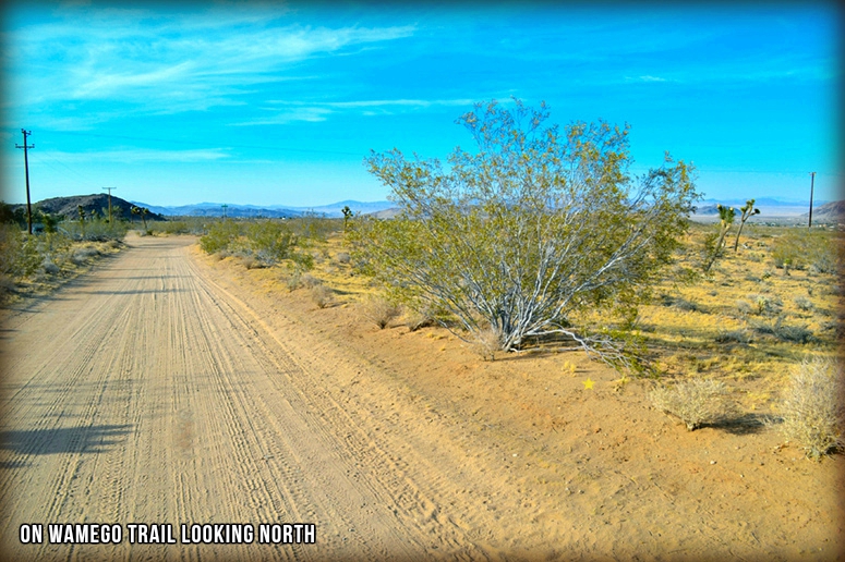 Wamego Trail