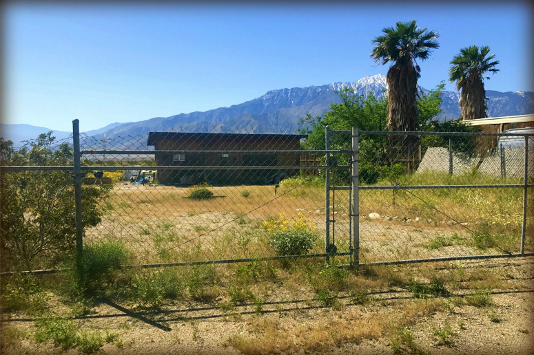 Arbor Drive