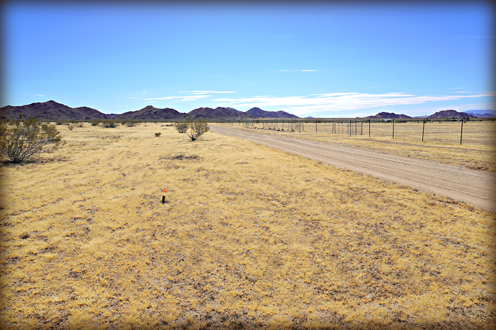 Richman Road 001