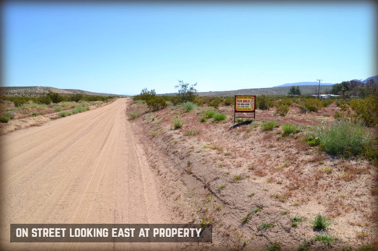 Amboy Road