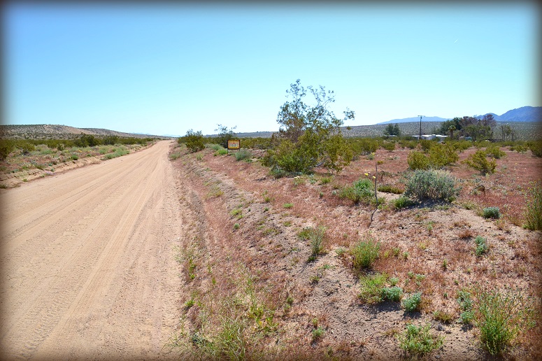 Amboy Road