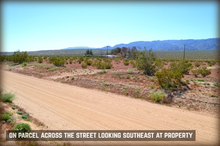 Amboy Road