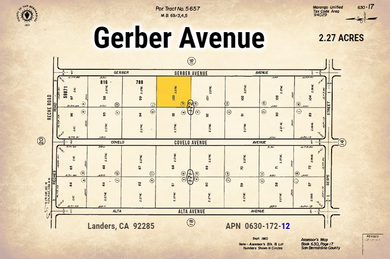 Gerber Avenue #2