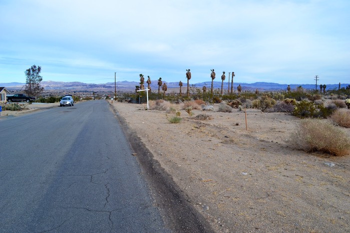 North Star Avenue