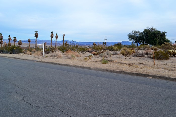 North Star Avenue