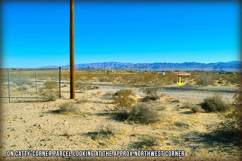 Neptune Avenue