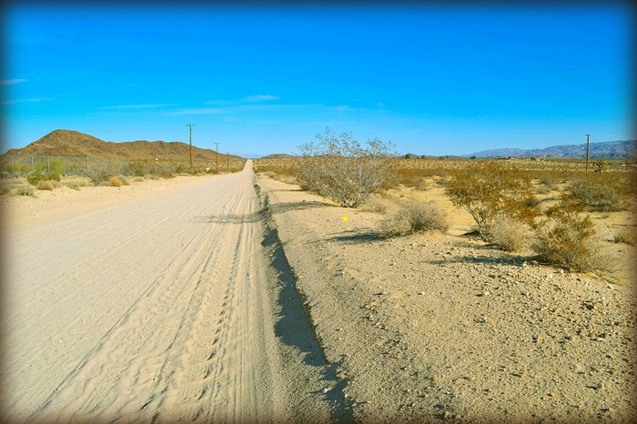 Neptune Avenue