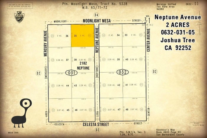 Neptune Avenue