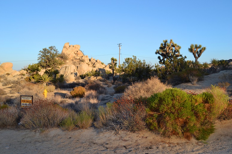 Yucca Valley Land For Sale