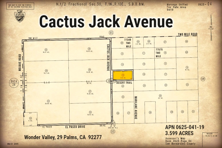 Cactus Jack