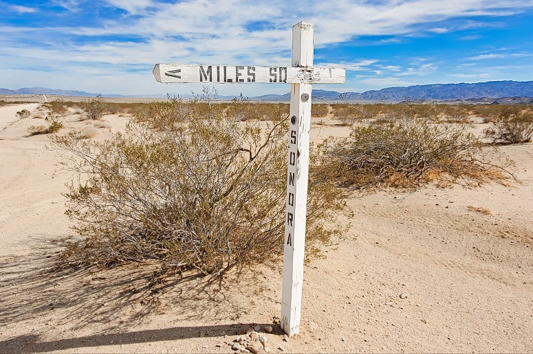 Mile Square Road