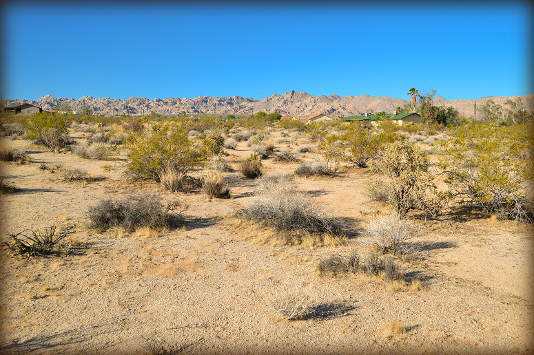 Twentynine Palms Land For Sale