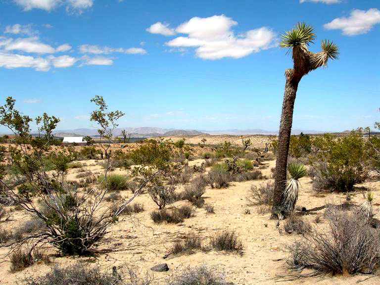 Breezy Lane