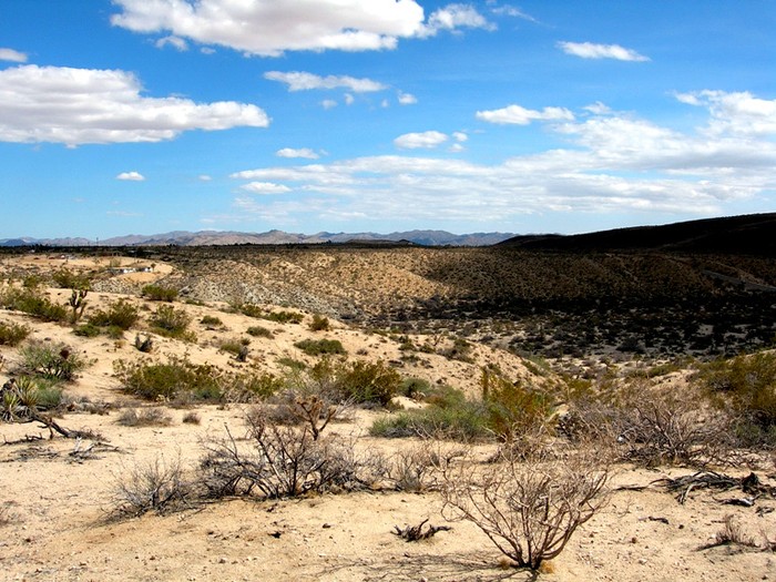 Breezy Lane