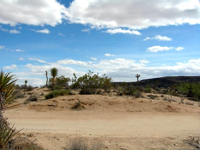 Breezy Lane