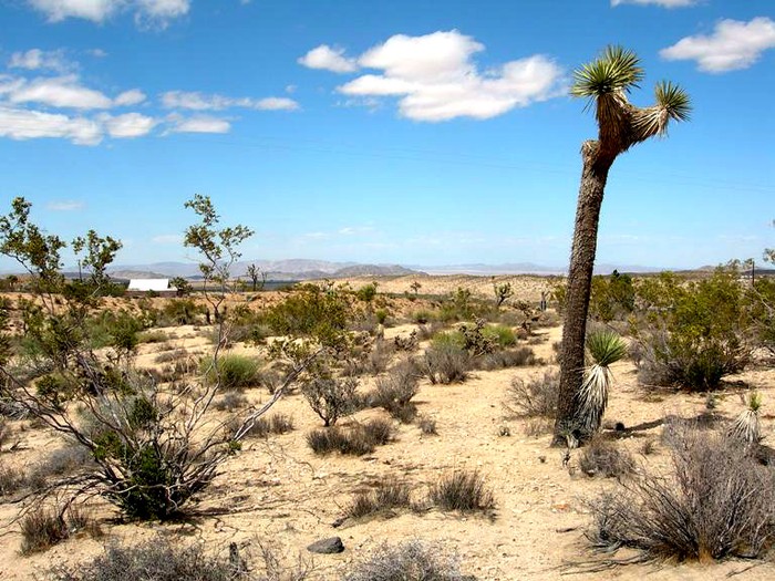 Breezy Lane