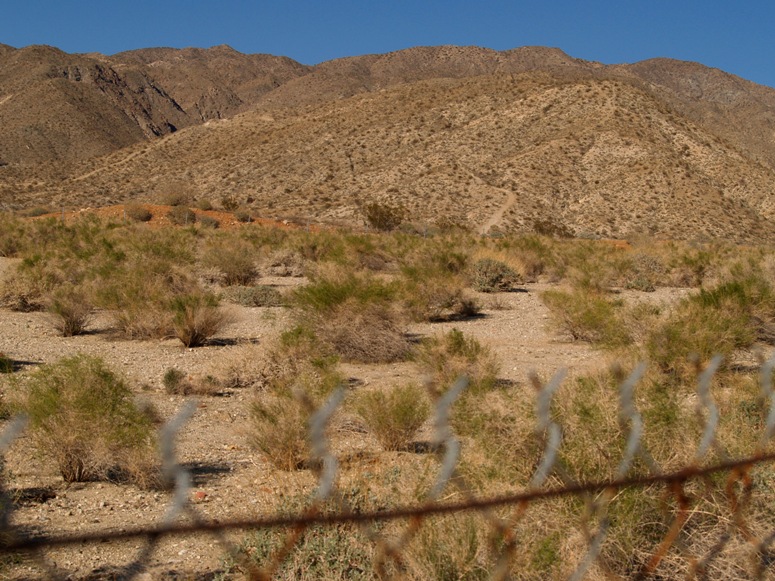 Desert Hot Springs Lot