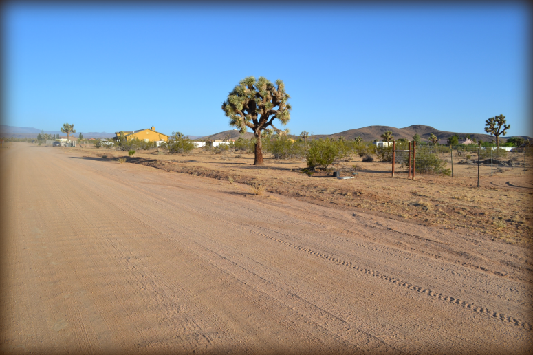 Yucca Valley Land with Utilities