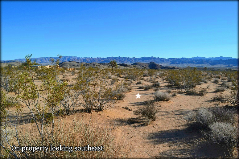 Joshua Tree Owner Financing Land