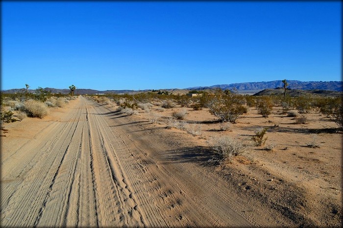 Bellflower Street