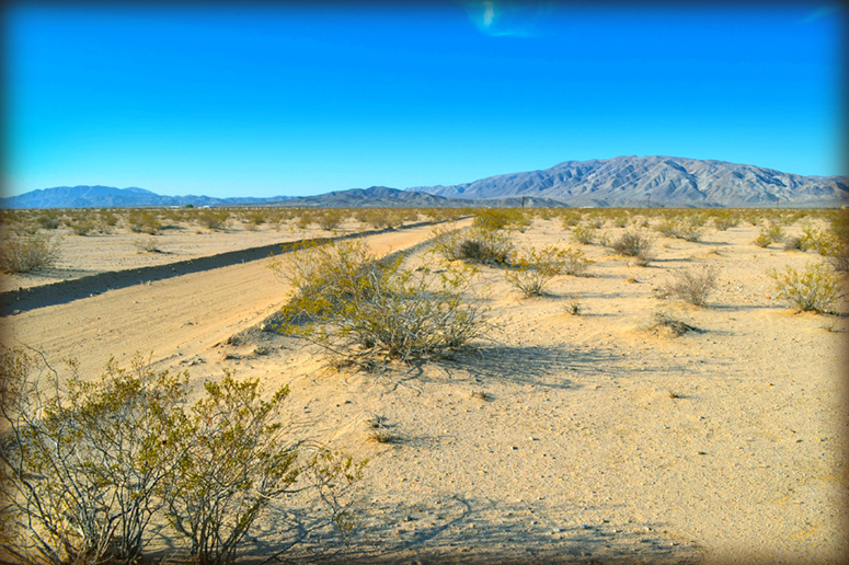 Wonder Valley 10 acre land parcel