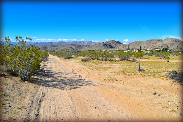 Joshua Tree land with Owner Financing