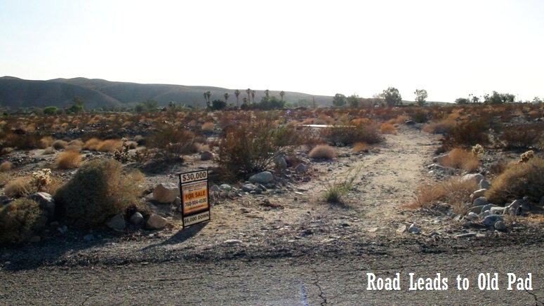 31111 Desert Rock